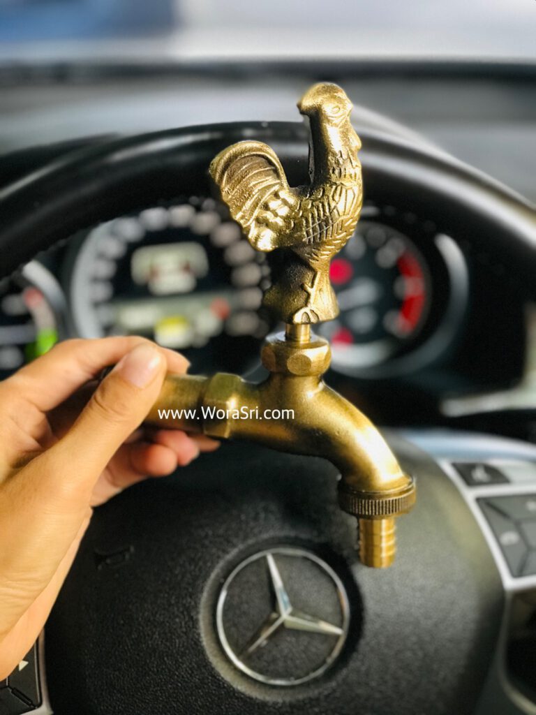 Bathroom water tap ก๊อกนักษัตร