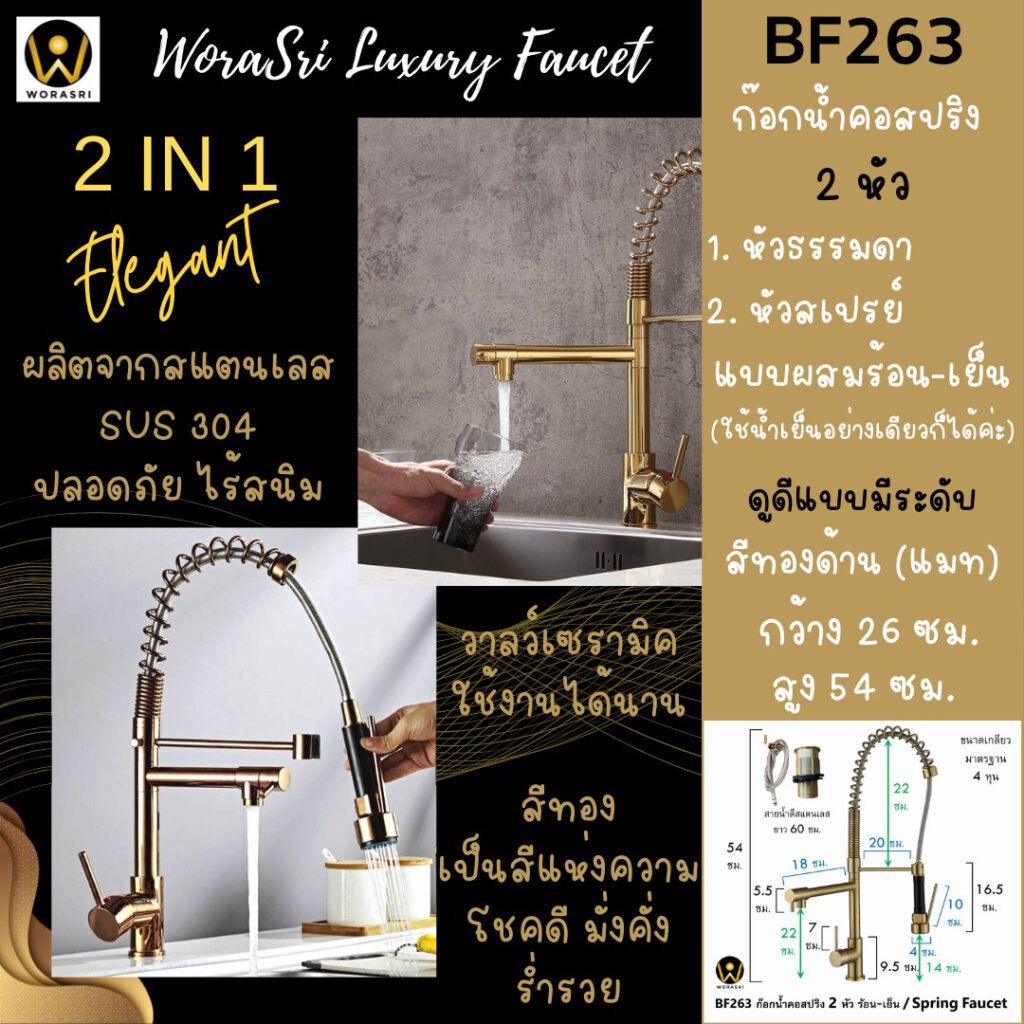 BF263 Spring Double 2 heads Faucet Brushed Gold Elegant Kitchen Room 3