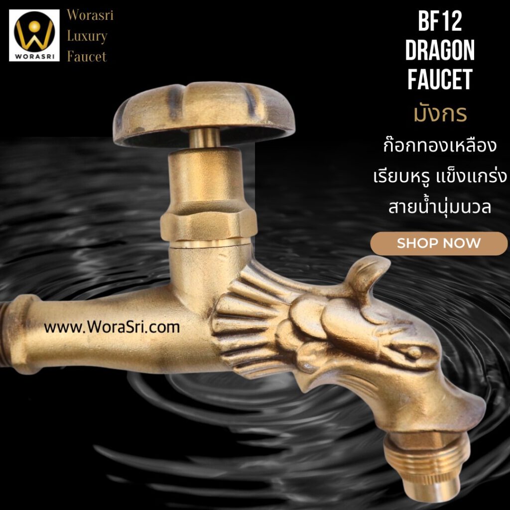 BF12 Dragon brass faucet outdoor garden indoor bathroom