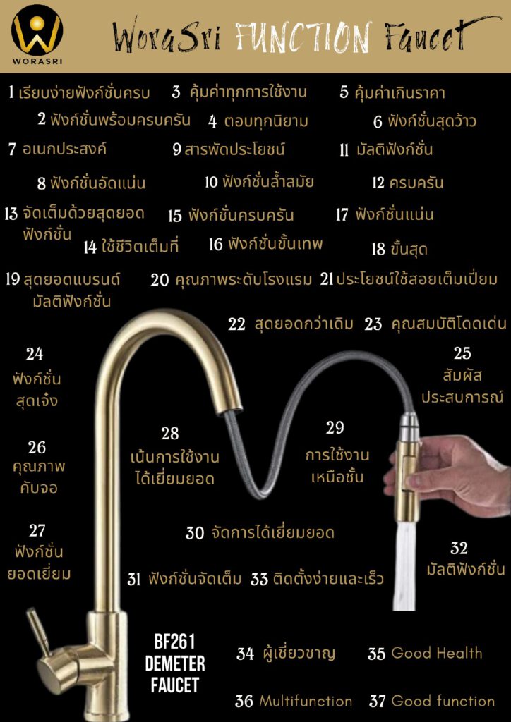 WRS FUNCTION FAUCET