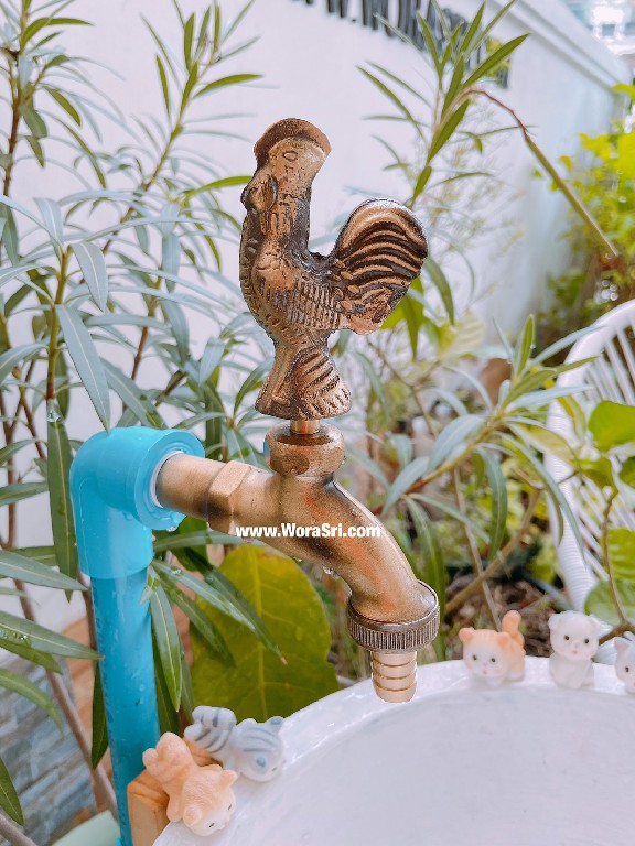 Roaster Brass Faucet Outdoor Garden 1