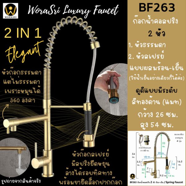BF263 Spring Double 2 heads Faucet Brushed Gold Elegant Kitchen Room 1