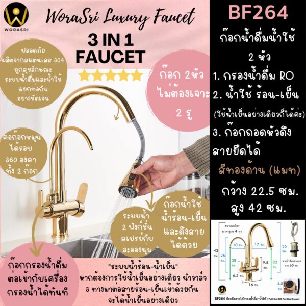 BF264 Pull Out RO Purified Faucet Brushed Gold 3 IN 1 Faucet Elegant Kitchen Room 1
